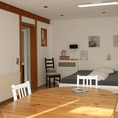 Gemuetliches Grosszuegiges Apartment Höhr-Grenzhausen Esterno foto
